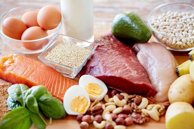 Protein là thành phần không thể thiếu trong bữa ăn