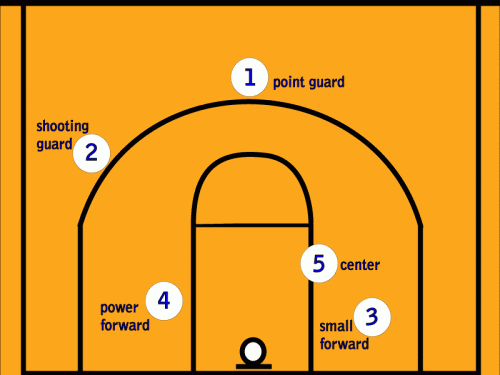 5 vị trí cơ bản trong bóng rổ